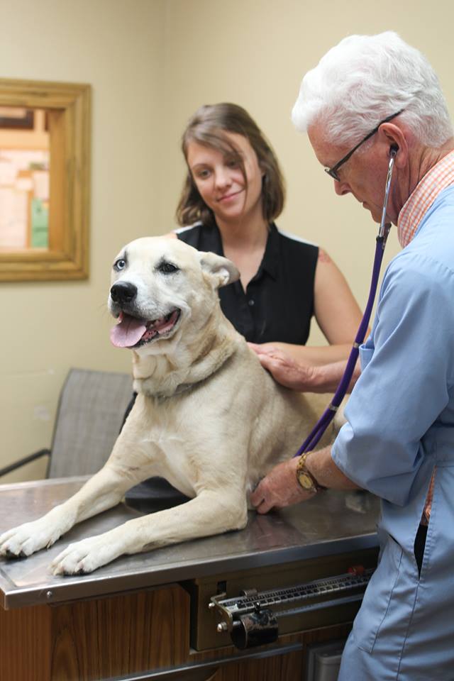 Rose Hill Veterinary Clinic We treat your pets like family